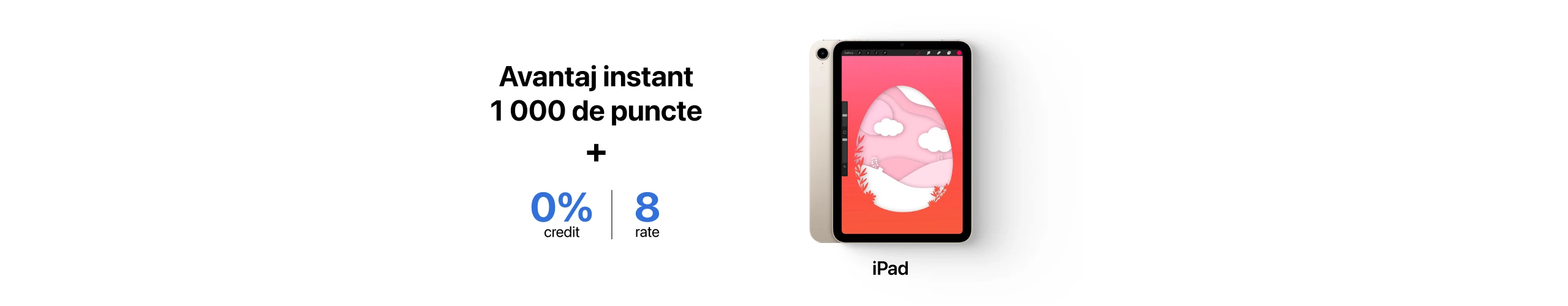 Avantaj instant 1000 de puncte + Credit 0% | 8 Rate la iPad