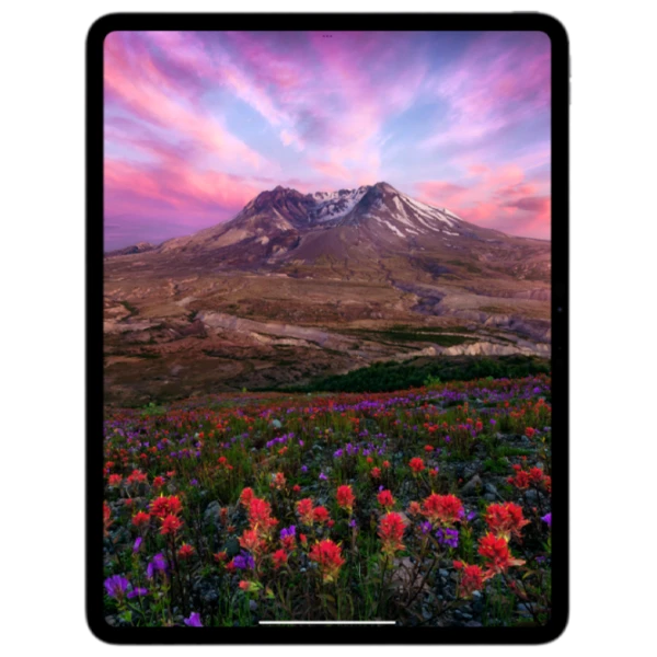 iPad Pro 2024 13" 256 GB Wi-Fi Silver photo 2
