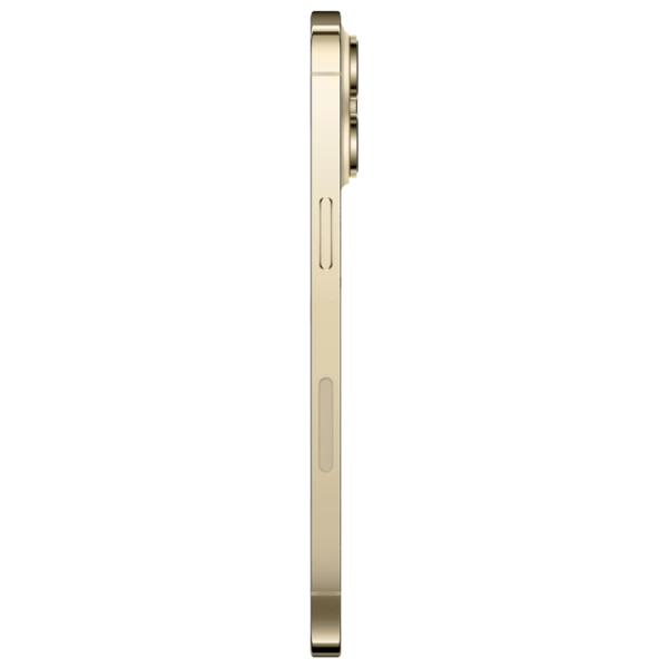iPhone 14 Pro Max 256 ГБ Single SIM Золото photo 4