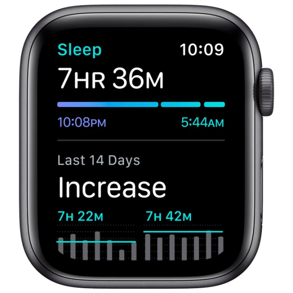 Apple Watch SE 40mm Gray photo 5