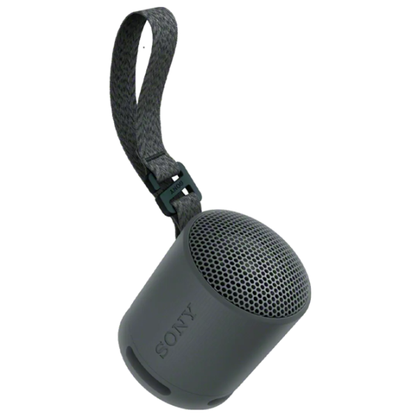 Boxă portabilă Sony SRS-XB100 / Black photo 1