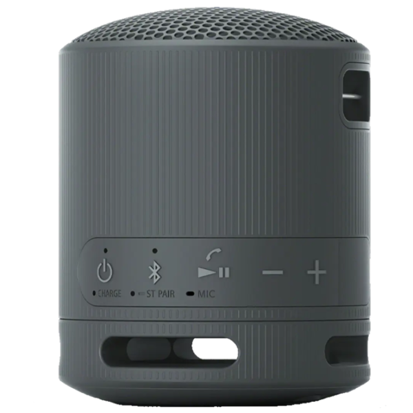 Boxă portabilă Sony SRS-XB100 / Black photo 5