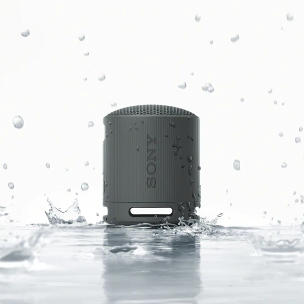 Boxă portabilă Sony SRS-XB100 / Black photo 8