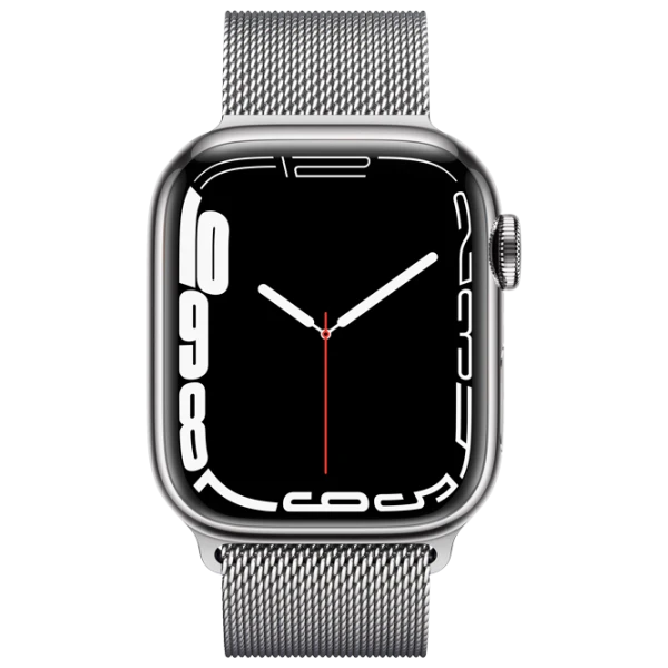 Apple Watch Series 7 41 mm Silver/ Silver Milanese Loop photo 2