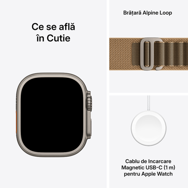 Apple Watch Ultra 4 49 mm Titanium / Desert photo 4