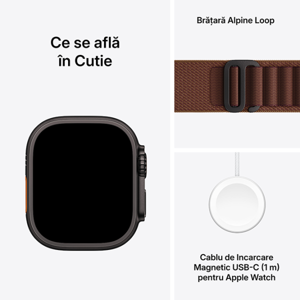 Apple Watch Ultra 4 49 mm Black / Burgundy photo 4
