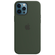 photo Husă pentru smartphone iPhone 12 Pro Max MagSafe Back/ TPU/ Green