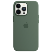 photo Husă pentru smartphone iPhone 13 Pro MagSafe Back/ TPU/ Green