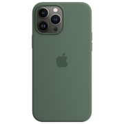 photo Husă pentru smartphone iPhone 13 Pro Max Back/ TPU/ Green