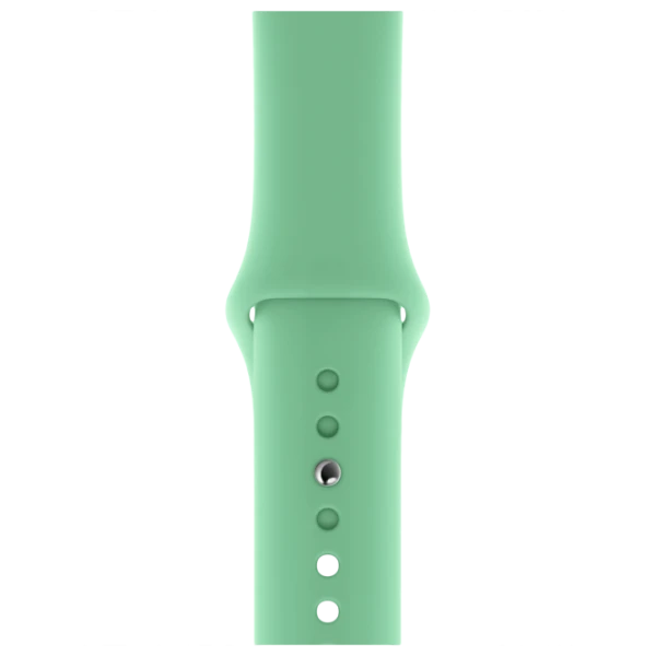 Curelușă Apple Watch S/ M & M/ L Steel/ 40 mm/ Spearmit photo 1