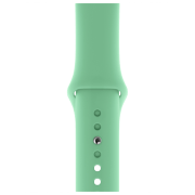 photo Curelușă Apple Watch S/ M & M/ L Steel/ 40 mm/ Spearmit