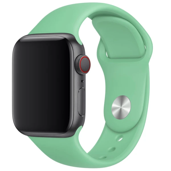 Curelușă Apple Watch S/ M & M/ L Steel/ 40 mm/ Spearmit photo 2