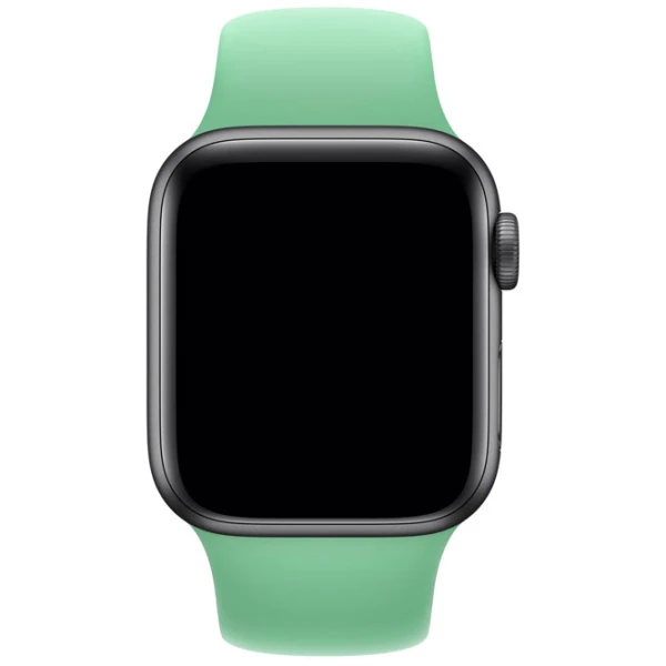 Curelușă Apple Watch S/ M & M/ L Steel/ 40 mm/ Spearmit photo 3