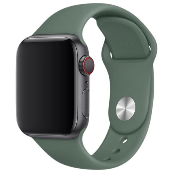 Curelușă Apple Watch S/ M & M/ L Silicon/ 38/ 40 mm/ Green Pine photo 1