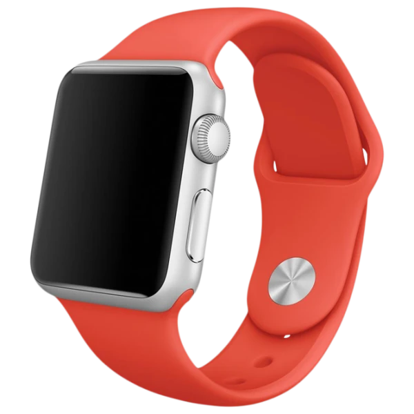 Curelușă Apple Watch S/ M & M/ L Silicon/ 38/ 40 mm/ Orange Pine photo 1