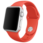 photo Curelușă Apple Watch S/ M & M/ L Silicon/ 38/ 40 mm/ Orange Pine