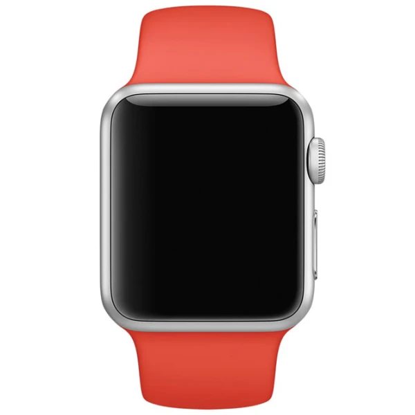 Curelușă Apple Watch S/ M & M/ L Silicon/ 38/ 40 mm/ Orange Pine photo 2