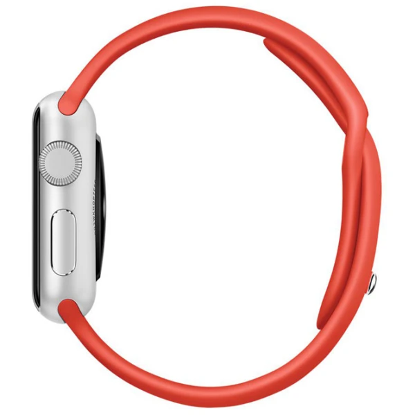Curelușă Apple Watch S/ M & M/ L Silicon/ 38/ 40 mm/ Orange Pine photo 4