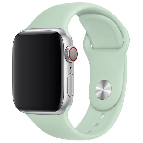 Curelușă Apple Watch MWUQ2ZM/ A Steel/ Beryl photo 2